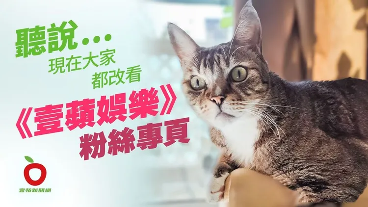 最新、最好看的娛樂新聞，都在《壹蘋娛樂》臉書粉絲專頁。