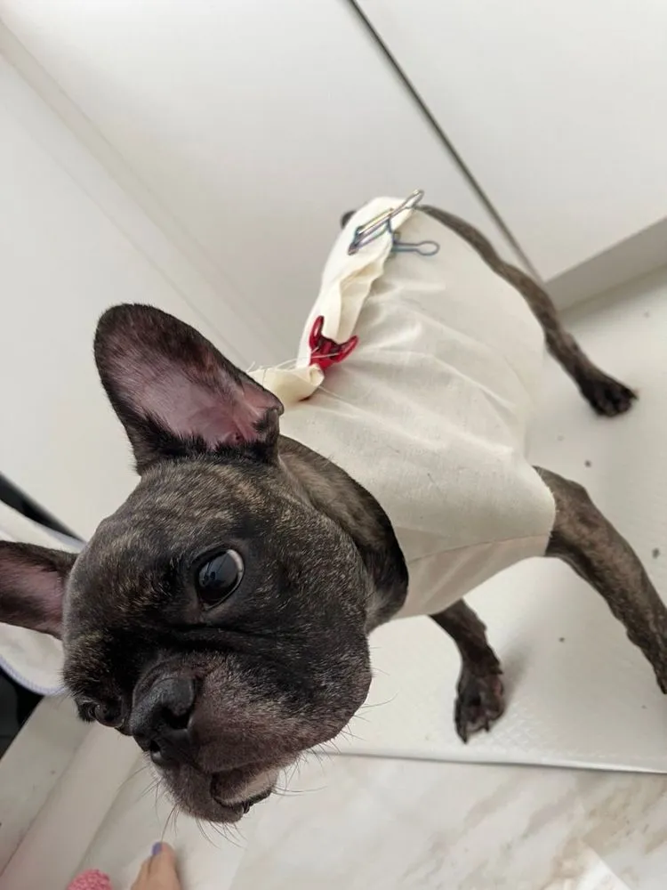 滿滿弟弟很有模特兒架式。小菁提供