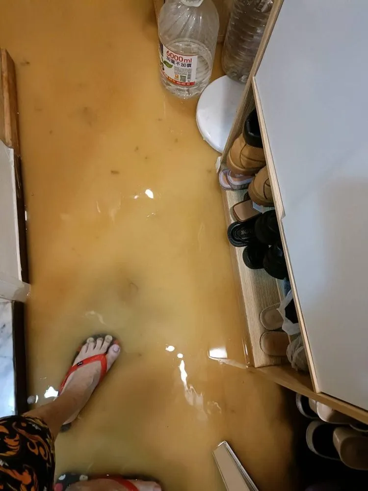 翻攝自許淑華臉書