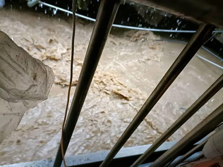 翻攝自許淑華臉書