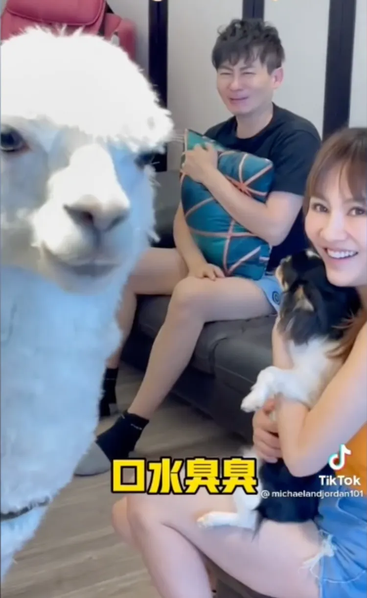 驚醒發現口水好臭。