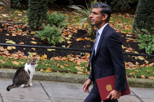 新首相铲屎官还兼冤大头?「英国第一猫」赖瑞:明起我的菜单有鱼子酱和龙虾