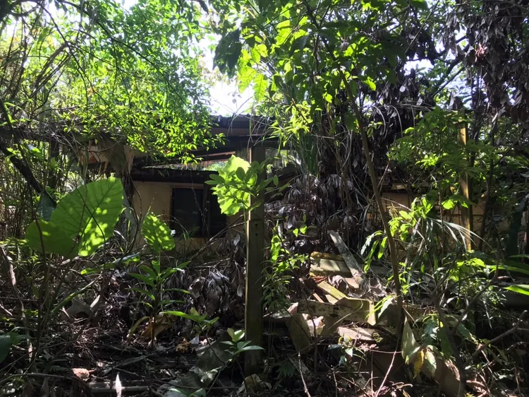 施男失手殺害二哥後，將屍體棄置於住家外的鐵皮屋。高鈞麟攝