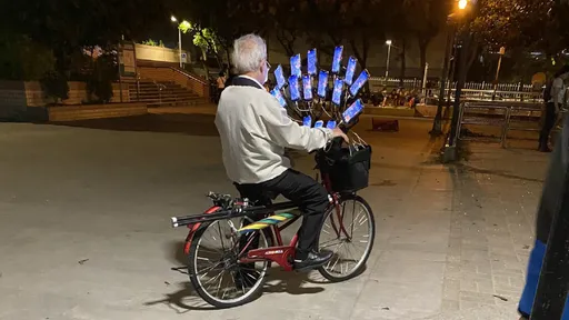 傳生病多月!寶可夢阿伯現蹤「手機變少了」 網淚讚送暖:希望一直玩下去