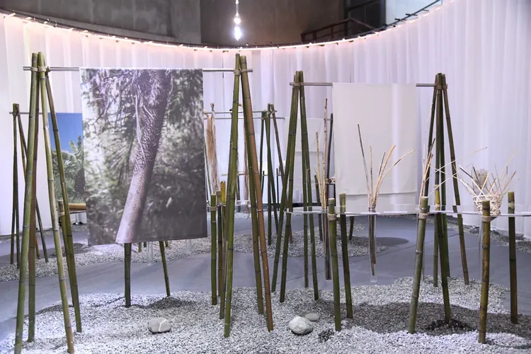 第 2 展區「彎身」以竹材為主架構，大幅底片感攝影作品呈現植物風景。花蓮縣政府提供