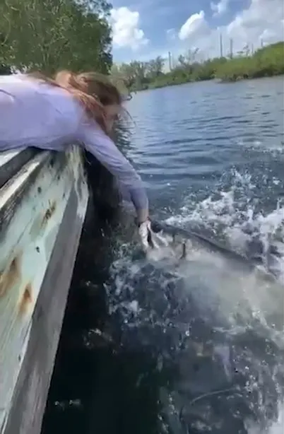 網友看了影片直呼「太驚人」。