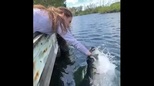 超嚇人!金髮女拿「這一根」餵魚 前臂有一半進了魚嘴