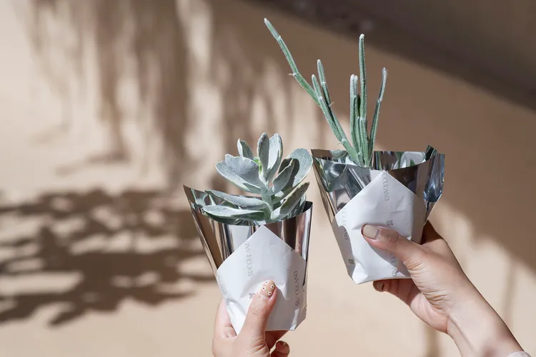 慶祝7週年慶與官網改版推出多項好禮優惠。業者提供