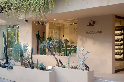 植人生活必備|多肉品牌週年慶 滿額贈禮、入會每月送植物