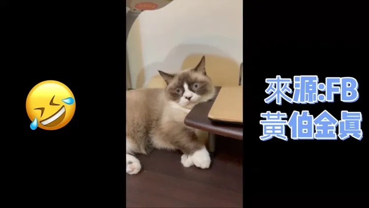 剛剛發生什麼事了？