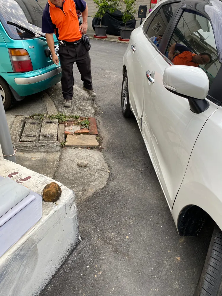 L姓車主當時沒覺到有花圃，擦撞後相當傻眼。L車主提供