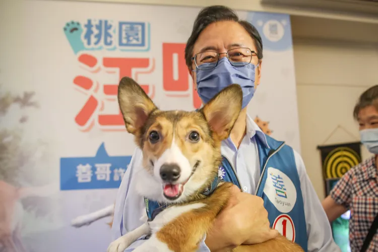 張善政抱著毛小孩推寵物政見。張善政競辦提供
