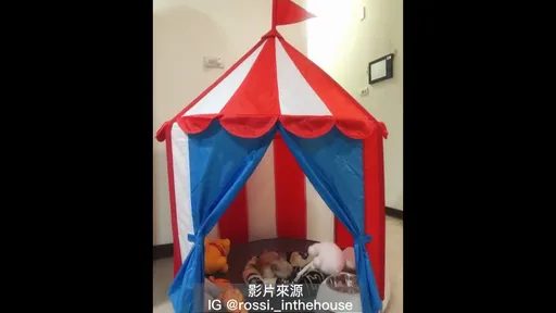 這是我的大房間 誰都不能進來!