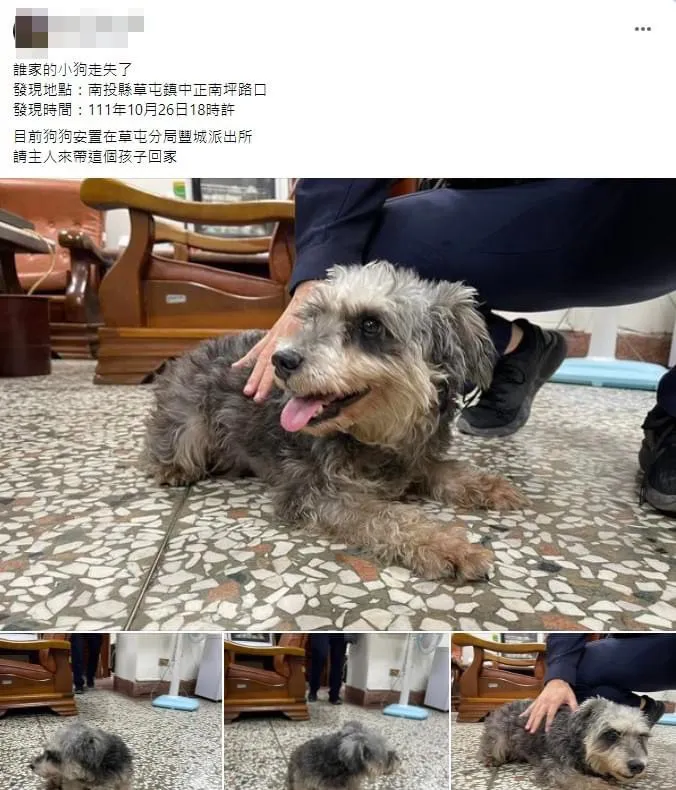 警方也透過網路力量，讓大家一起來找狗狗的飼主。翻攝臉書草屯人