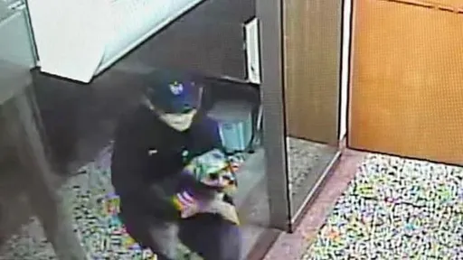 「湯米」夜間逃家馬路當遊樂場 遭2警察前後包夾逮捕看照