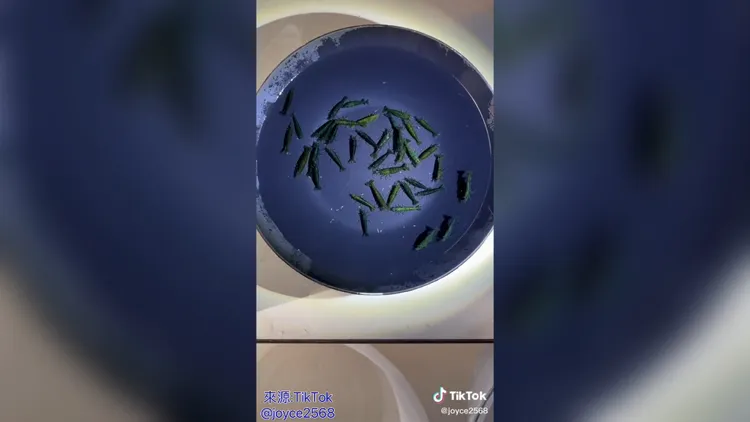 竟然有綠色的蝦蝦呀！