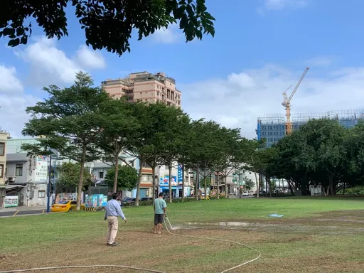 造勢活動波及公園草坪受損 張善政競辦今派員處理並復植