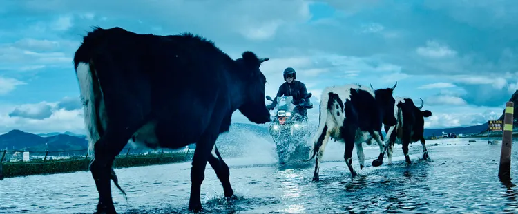 任賢齊的MV，壯麗美景盡收眼底。相信音樂提供