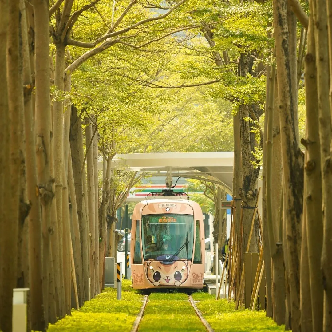 高雄捷運輕軌新路線「龍貓隧道」,引爆話題,吸引許多觀光客搭乘。資料照片