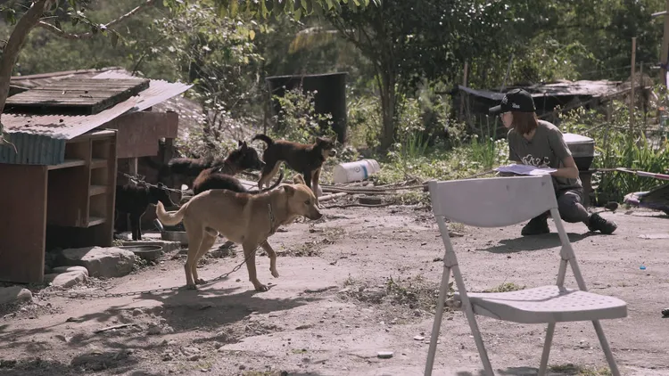 《十二夜2》關懷流浪動物結紮照養問題。牽猴子提供