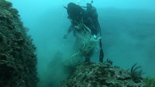 花蓮269位潛水志工聯手淨海 不到1年竟打撈出15公噸海洋廢棄物