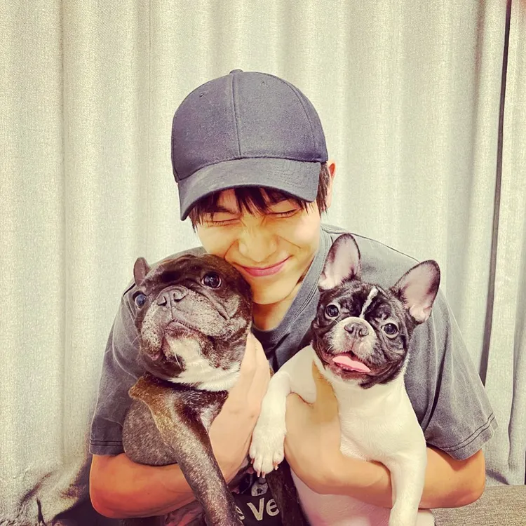 中川大志養了2隻法國鬥牛犬。翻攝中川大志IG
