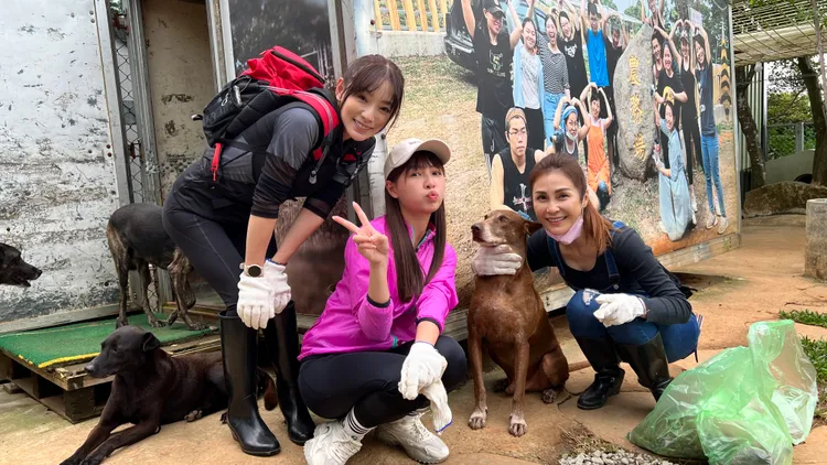 賴芊合（左起）、謝京穎、梁佑南幫流浪動物整理環境。民視提供