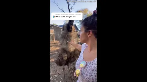 同樣的招式不是每次都可行 用錯地方下場會很慘!