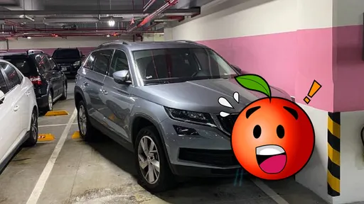 停車神人？休旅車停到撞壁還不忘「這事」　網笑噴狂刷一排暖