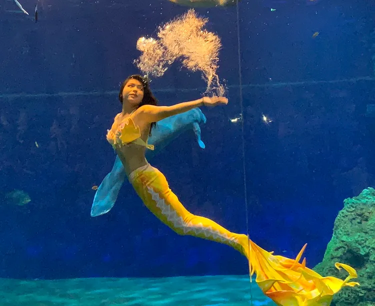 人魚實境秀。花蓮海洋公園提供