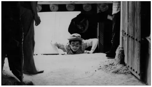 武俠名導胡金銓晚年揭密 喝茶結識18歲女服務生赴美同居