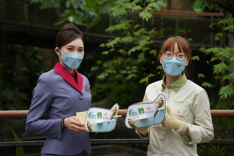 華信空姐協助放飛栗喉蜂虎。華信航空提供