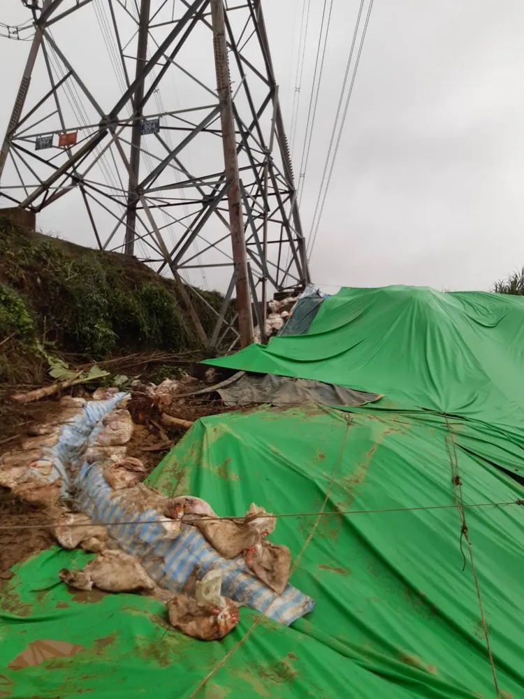 由於上波強降雨已造成新北市部分災情，且地表含水量趨於飽和，新北市各局處及區公所應強化相關整備作為。新北市消防局提供