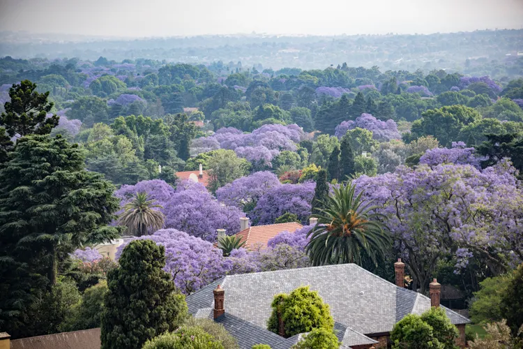 從高處俯瞰別有一番滋味。法新社