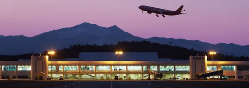 假觀光真跳機？　南韓開放免簽　約百名越南客入境後失聯