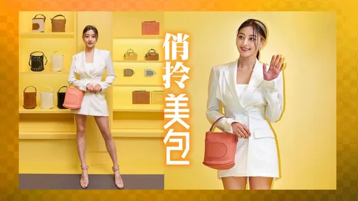 TWICE志效戀上50歲的它　DELVAUX出新招Pin手袋逆齡吸粉