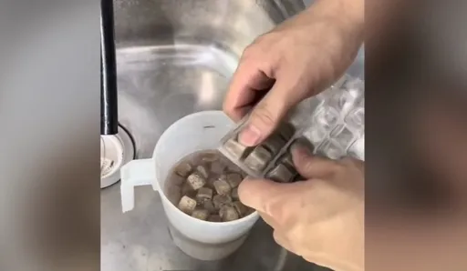 小魚兒也吃巧克力? 這一顆顆丟入魚缸立刻引暴動