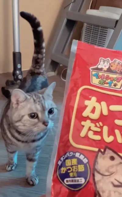 這麼奮力下樓就是為了吃零食啊！