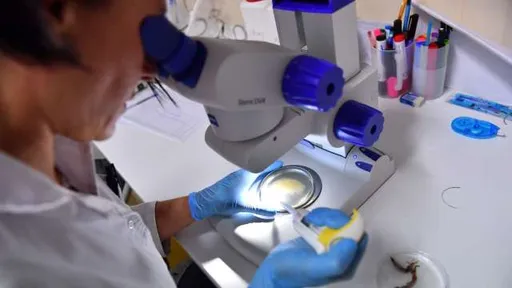 解盲、新品與併購 催出醫療成長利多