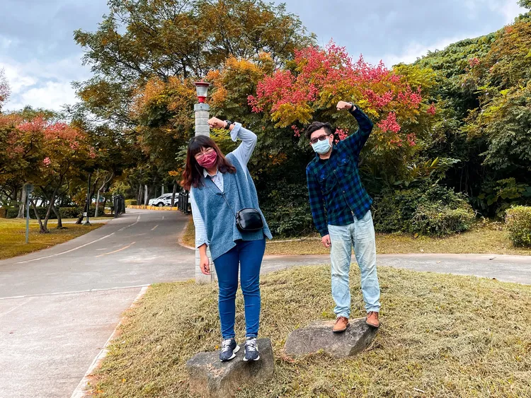 秋季限定的特色河濱美景，一睹臺灣欒樹變妝的樣貌。高灘處提供