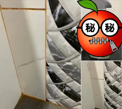 好市多買除黴劑！大讚好用真心推薦　網卻否決指這一物便宜更強效