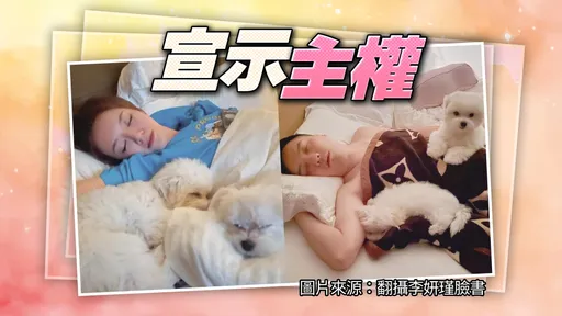 從砲友升格戀人!李妍瑾愛愛AV導演圤智雨一試成主顧 交往3個月沒戴套「有就生」