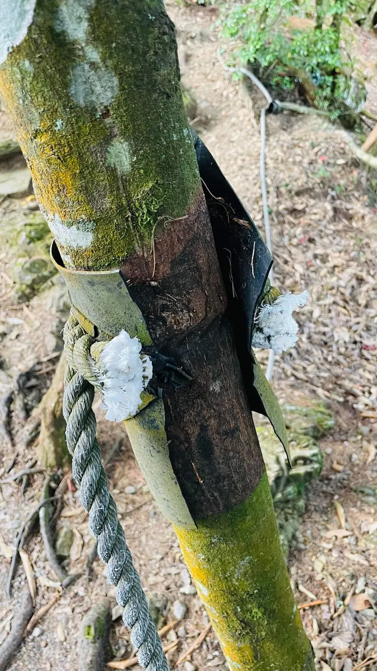 翻攝自臉書「靠北登山大小事」