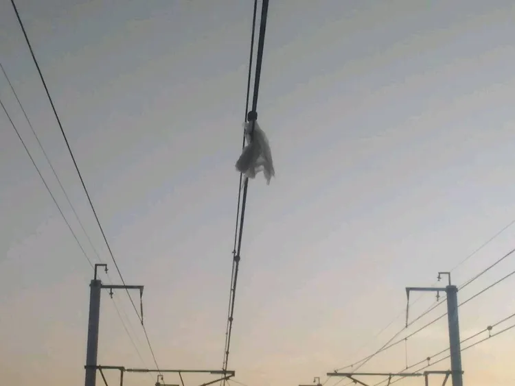 異物纏繞電車線，造成列車延誤。高鐵提供