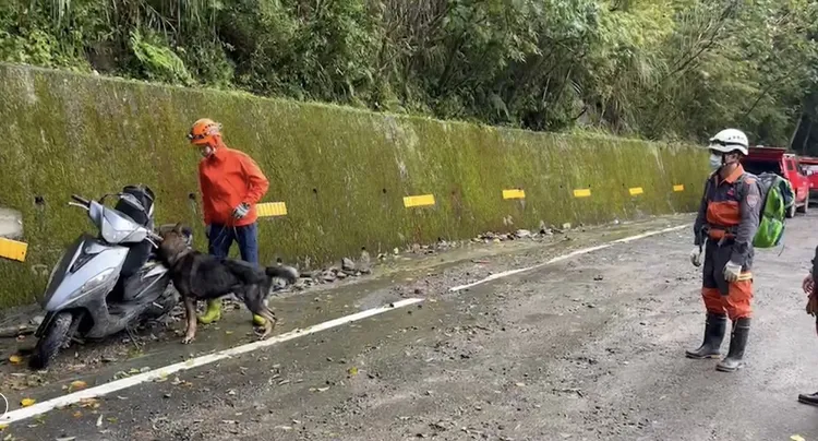 警消帶著搜救犬加入搜救行列。宜蘭縣消防局提供