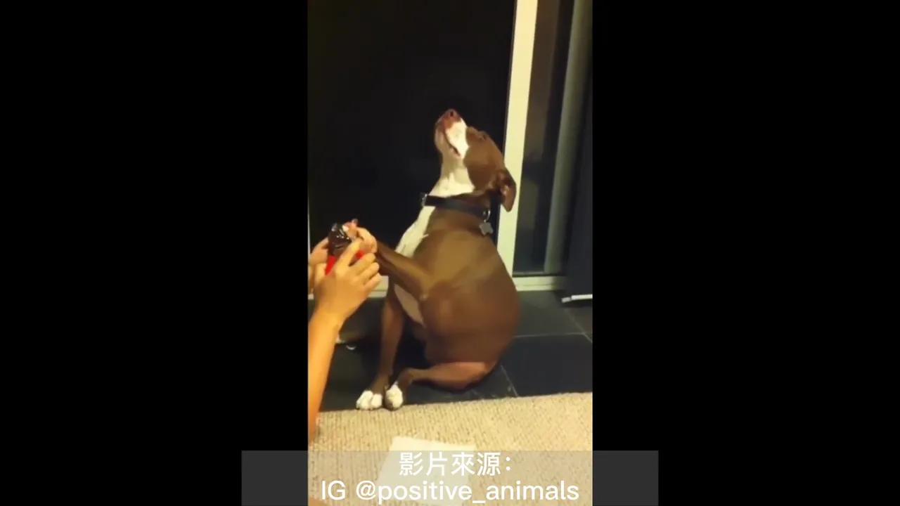 剪指甲?我先暈了!