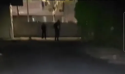 海扁「晚安小雞」4嫌落網!自爆動手三巧合 結怨全因4個字