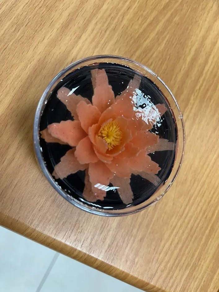 果凍花成品。移民署提供