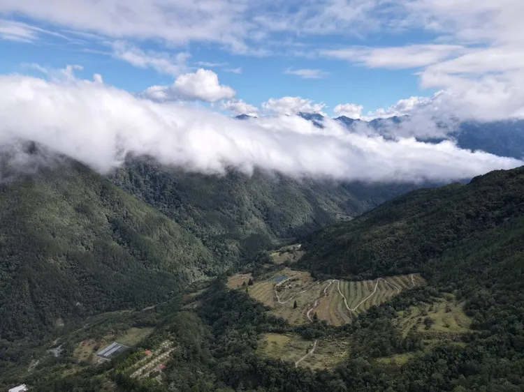 從雪山登山口眺望雲瀑。民眾提供