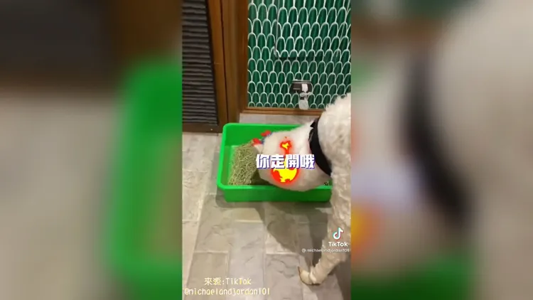 你走開喔！再搶我就發火了喔！